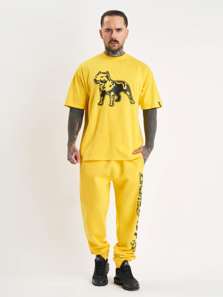 Amstaff tričko Logo 2.0 Yellow/Black