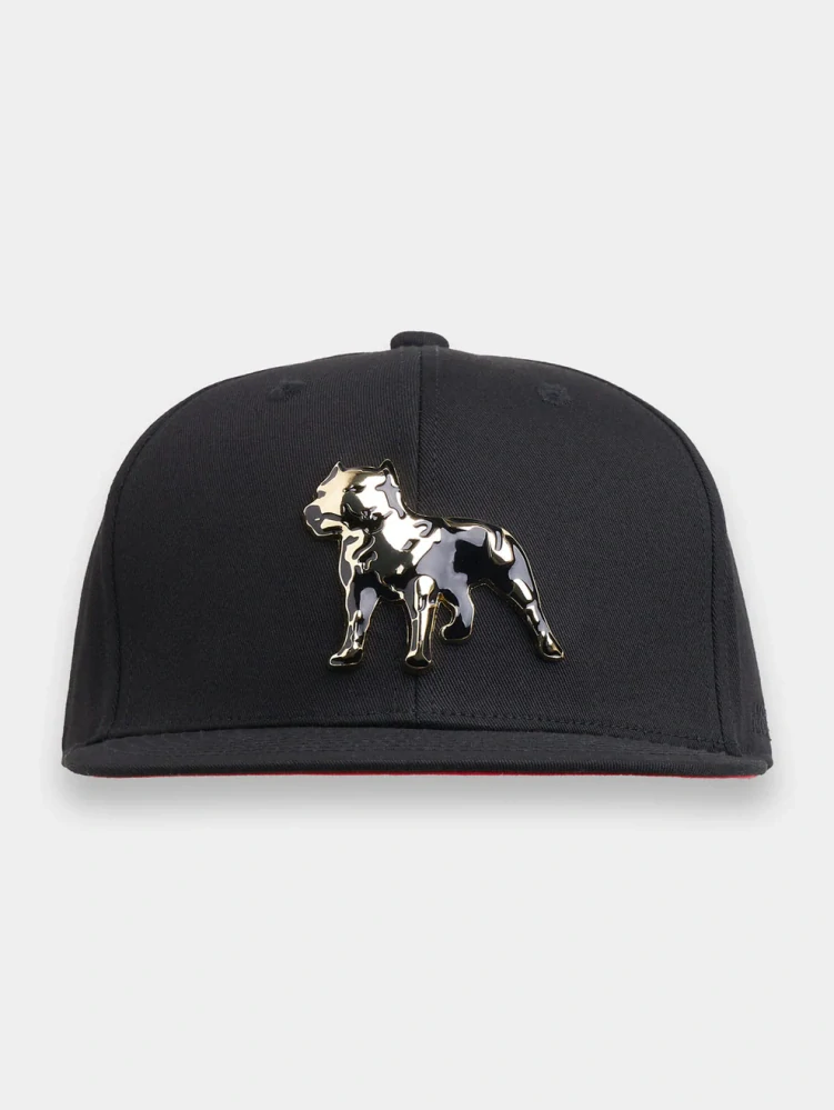 Amstaff čepice Icon Snapback