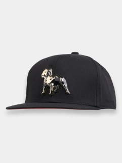Amstaff čepice Icon Snapback